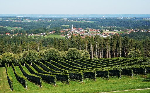 St._Stefan_ob_Stainz,_Bezirk_Deutschlandsberg,_Steiermark. / gemeinfrei Wikimedia 8.9.2020